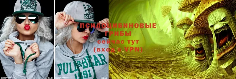 Псилоцибиновые грибы Psilocybe  кракен ТОР  Славск 